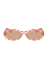 Miu Miu Womens Pink Mu 06zs Oval-frame Acetate Sunglasses In Noisette Transparent