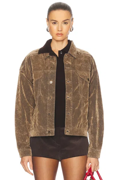 Miu Miu Velvet Button Up Top In Tabacco