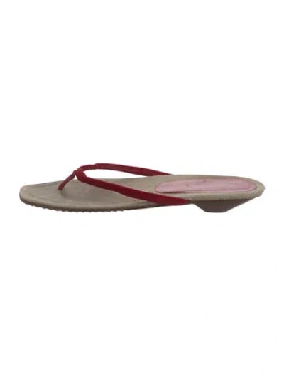Pre-owned Miu Miu Velvet Flip Flops In Multicolor