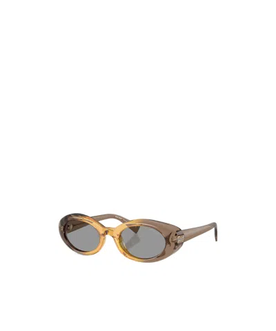 Miu Miu Versatile Sunglasses In Brown
