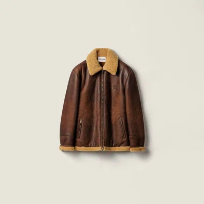 Miu Miu Waxed Shearling Blouson Jacket In Brown