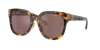 Miu Miu Womens Brown Mu 01zs Square-frame Acetate Sunglasses In Brown Mirr Silver Int Violet