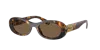 Miu Miu Woman Sunglass Mu 06zs In Brown