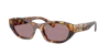 Miu Miu Tortoiseshell Sunglasses In Light Purple Brown