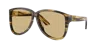 Miu Miu Woman Sunglass Mu A08s In Brown