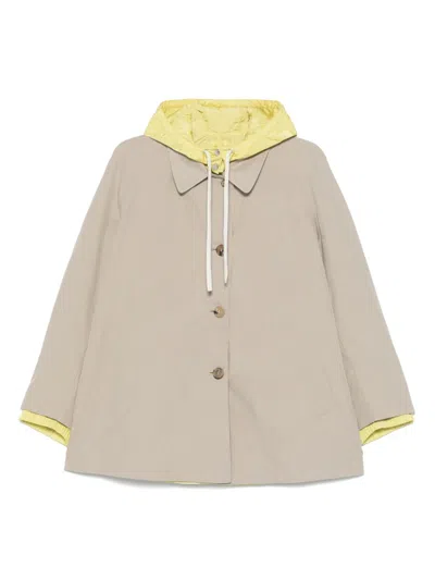 Miu Miu Women Cotton Blouson Jacket In Multi