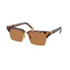Miu Miu Havana Chiaro Acetate Sunglasses In Havana