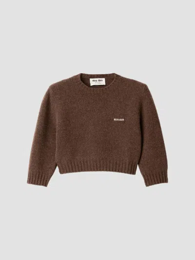 Miu Miu Women's Wool And Cashmere Sweater In Brown