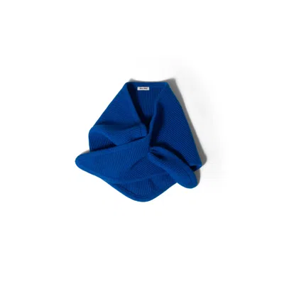 Miu Miu Wool And Cashmere Shawl In Blue