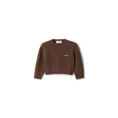 Miu Miu Wool And Cashmere Sweater In Brown
