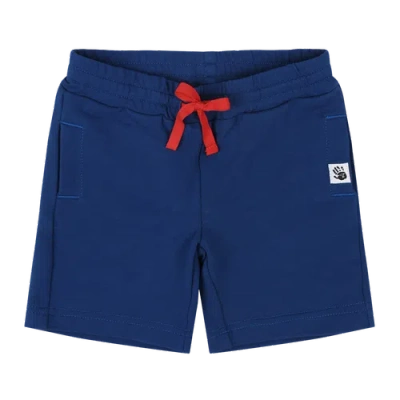 Mixed Up Clothing Kids'  Boys Sweatshorts In Sodalite Blue