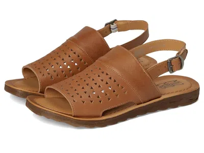 Miz Mooz Felena In Brown