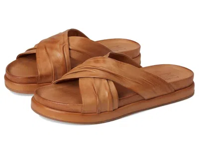 Miz Mooz Talisa In Brown