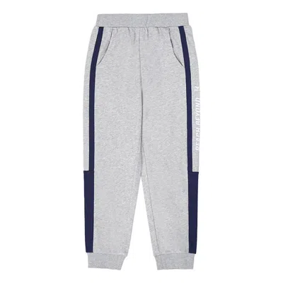 Mizuno (gs)  Sportswear Casual Pants 'grey' In Gray