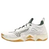 Mizuno Wave Momentum 3 'white Green Gold'