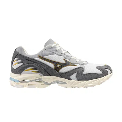 Pre-owned Mizuno Wave Rider 10 'nimbus Cloud Black Oyster' | Grey | Men's Size 10 In Gray