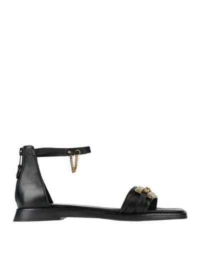 Mjus Woman Sandals Black Size 11 Leather