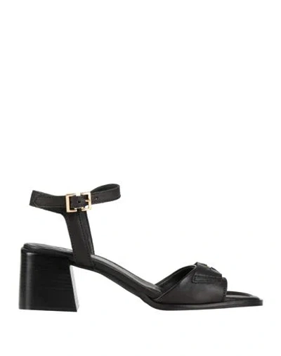 Mjus Woman Sandals Black Size 7 Leather