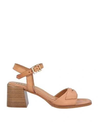 Mjus Woman Sandals Tan Size 6 Leather In Brown
