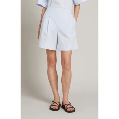 Mm By Max Mara Balta Cotton Shorts In Blue