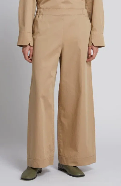 Mm By Max Mara Dream Wide Leg Pants In Brown