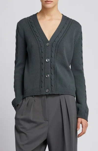 Mm By Max Mara Master Cable Stitch Cardigan In Gray