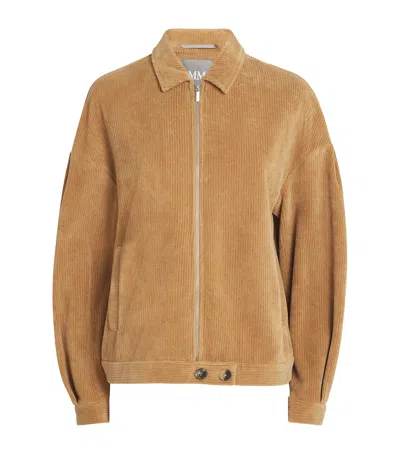 Mm Cotton-blend Corduroy Damara Jacket In Multi