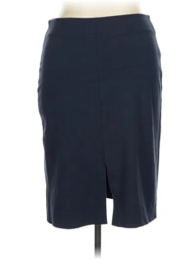 Pre-owned Mm. Lafleur Casual Skirt In Blue