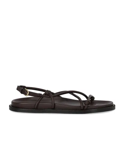 Mm Max Mara Lusso Dark Brown Flat Sandal In Multi