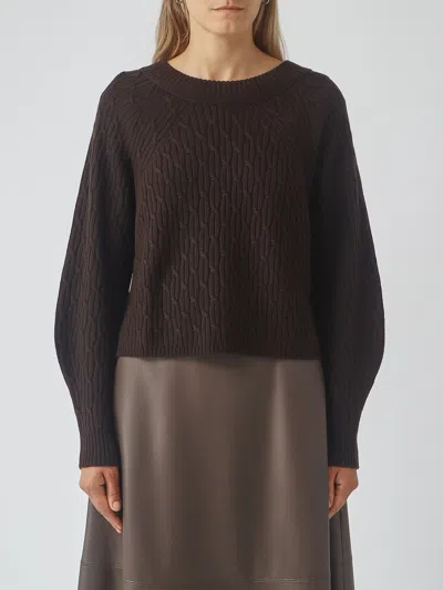 Mm Max Mara Sweater Woman Color Dark In Brown