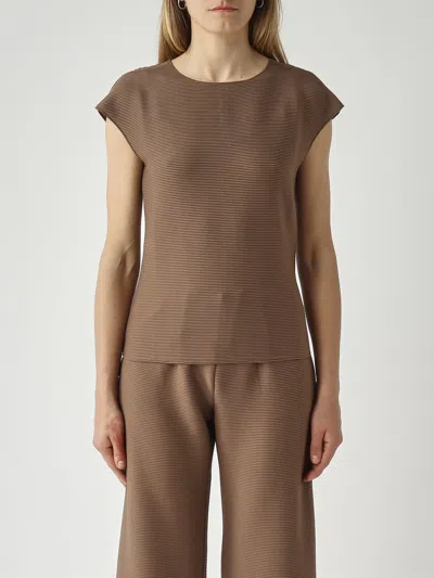 Mm Max Mara Top Woman Color Coffee In Brown
