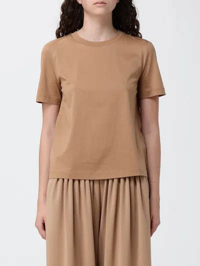 Mm Max Mara Printed Cotton T-shirt In Brown
