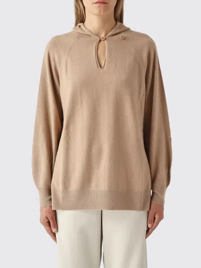 Mm Max Mara V-neck Hooded Jumper In Virgin Wool And Cashmere Blend In Brown