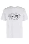 Mm6 Maison Margiela Mm6 By Maison Margiela Bunny T-shirt With Numeric Logo Print In White