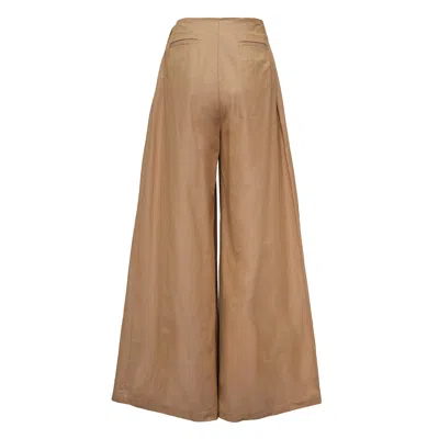 Mmam Pleat Pants In Brown