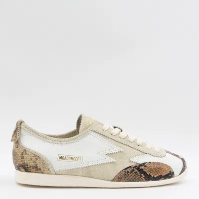 Moaconcept Sneakers Snake In Multi