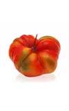 Moda Domus Riviera Farm Tomato Candle In Multi
