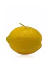 Moda Domus Riviera Lemon Candle In Multi