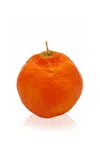 Moda Domus Riviera Orange Candle In Multi