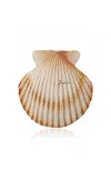 Moda Domus Riviera Scallop Shell Candle In Multi