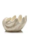 Moda Domus Riviera Small Decorative Ceramic Shell In White