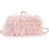 Moda Luxe Harlow Evening Bag In Soft Pink