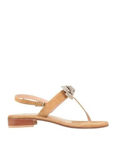 Moda Positano Woman Thong Sandal Camel Size 8 Leather In Neutral