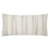 Mode Living Terra Vasta Throw Pillow, 22 X 22 In Striped Beige Metallic