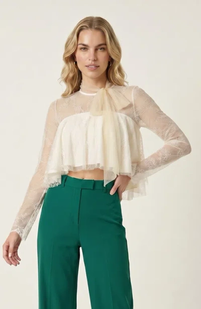 Modenaire Lace Overlay Crop Top In White