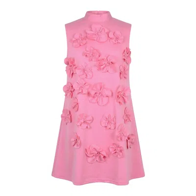 Modenaire Women's Pink Floral Appliqué Mini Dress