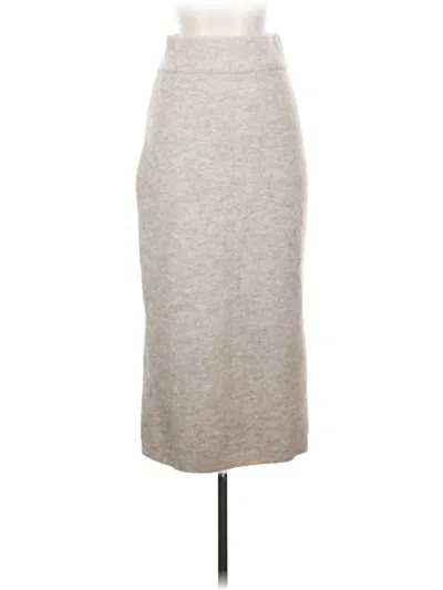 Pre-owned Modern Citizen Casual Skirt In Gray