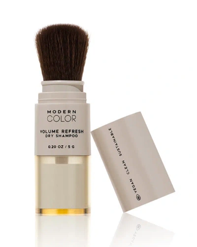 Modern Color Neutrals Volume Refresh Dry Shampoo Powder Brush