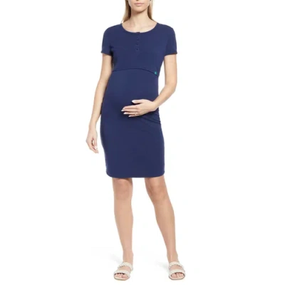 Modern Eternity Maternity Juliet Nursing Dress In Blue