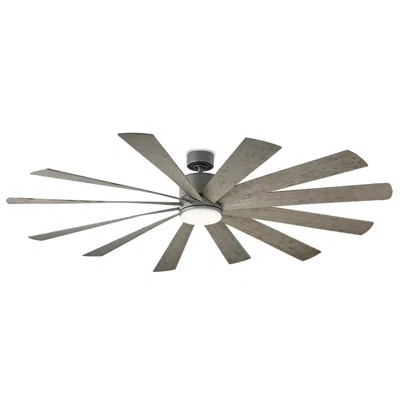 Modern Forms 80"  Windflower Graphite Led Wet Rated Smart Fan